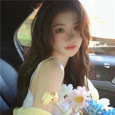 假元首秘纪